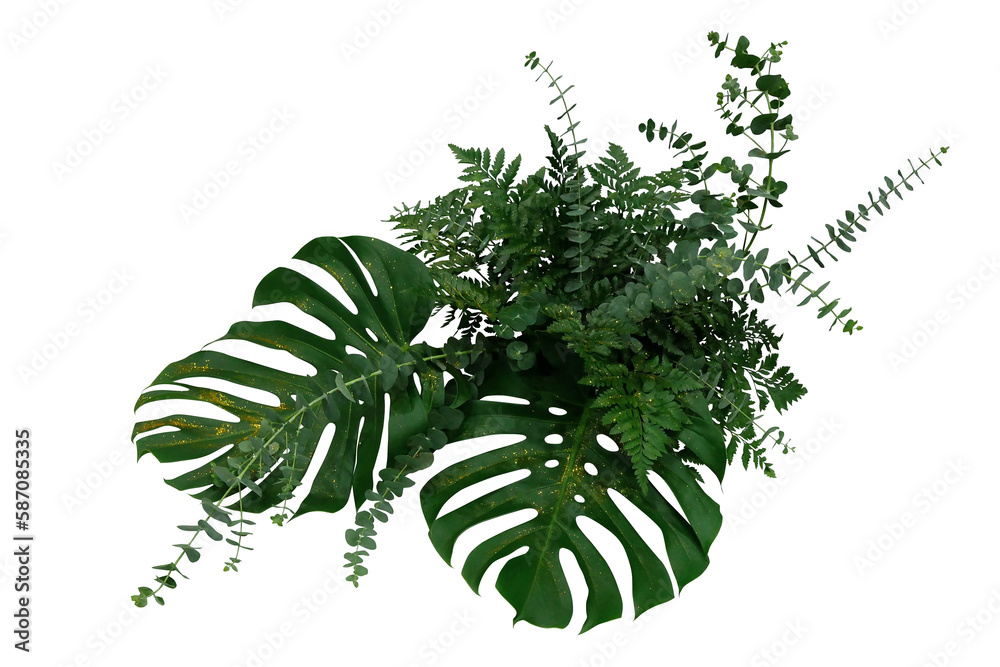 Tropical green leaves foliage plants bush, Monstera, fern and Eucalyptus leaves with gold glitter particles floral arrangement bunch for wedding and ceremony decoration - obrazy, fototapety, plakaty 