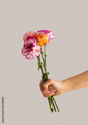 Woman's hand holding bouquet of blooming spring flowers against grey background. Minimal nature concept. Mother's day card. © Creative Photo Focus