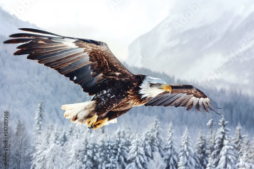 Eagle in the snow, an eagle flying, and a winter scene with an eagle. Generative AI