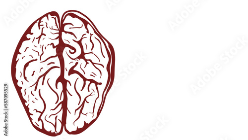 Textured brain-shaped blank background design