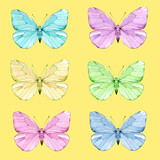 Delicate butterflies. Set. Watercolor illustration, poster.