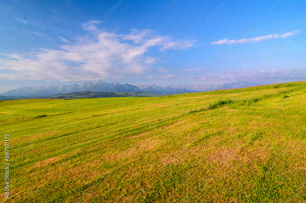 picturesque meadow, in the distance you can see the peaks of the Tatra Mountains