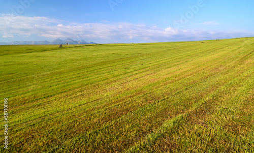 picturesque meadow  in the distance you can see the peaks of the Tatra Mountains