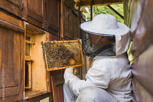 Male beekeeper doing an inspection, opening the beehive, checking brood and honey, side view. Concept of maintenance of bee colony. © 24K-Production
