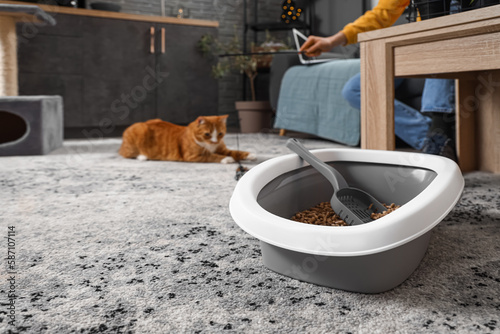 Litter box for cat on floor...
