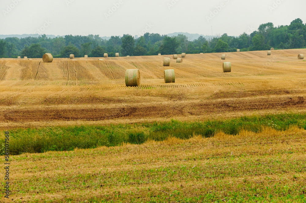 Hay Bales In A Farm Field In August In Wisconsin