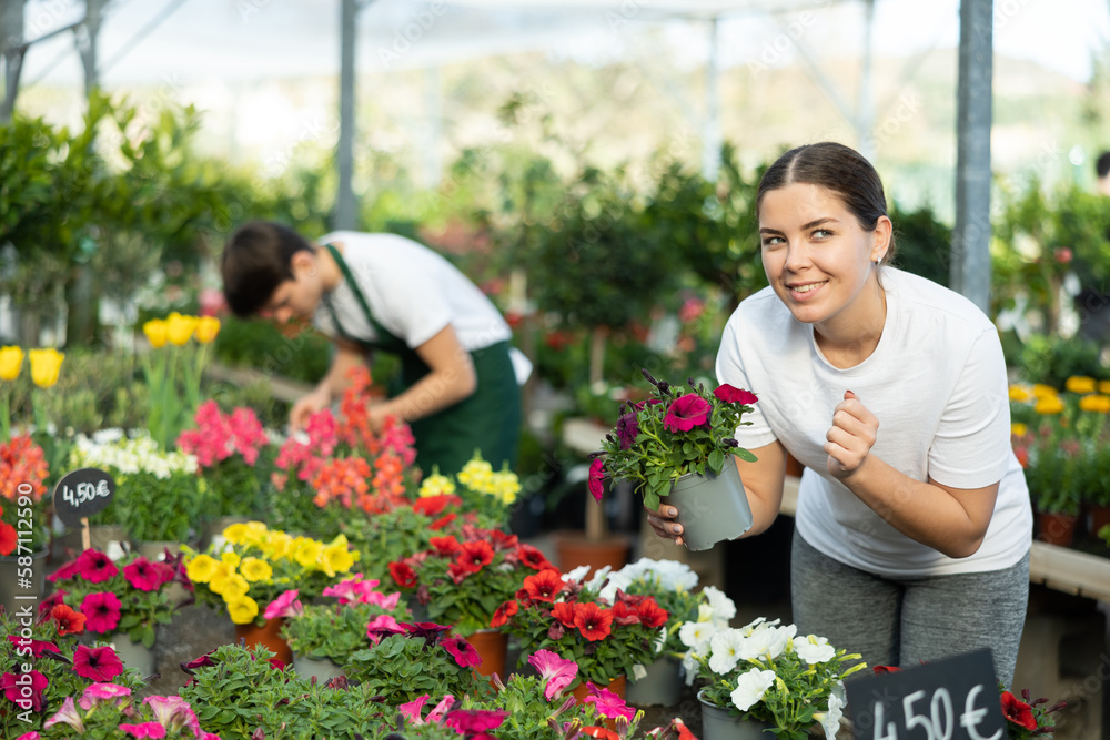 Positive young woman in casual clothes choosing potted Petunia flowers for house while shopping in modern greenhouse