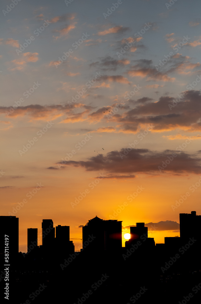 Sunset Urban Silhouette with Black Birds Flying Home to Nest For the Night.