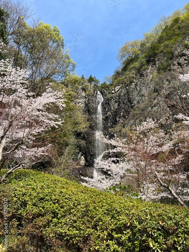 waterfall in the mountains