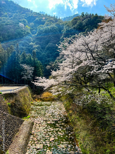 path in the mountains