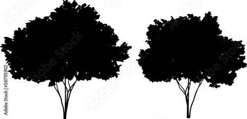 Photography Set of tree silhouettes black color isolated on white background