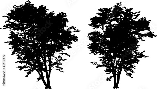 Set of tree silhouettes black color isolated on white background