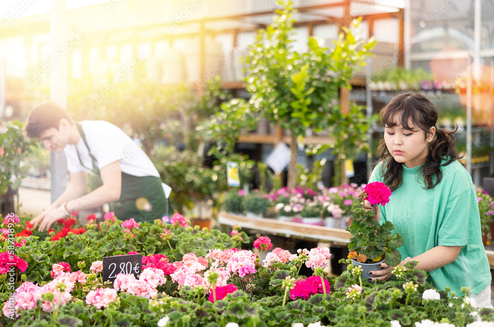 Interested young Asian girl choosing bright colorful potted geraniums for home decoration in garden store..