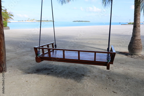 Fototapeta Naklejka Na Ścianę i Meble -  swing under plam tree