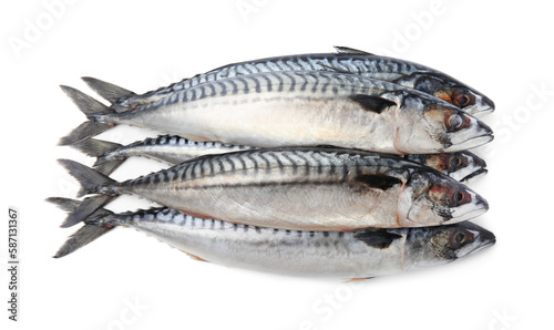 Many tasty raw mackerels isolated on white