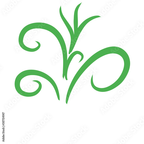 Flourism Swirl Element