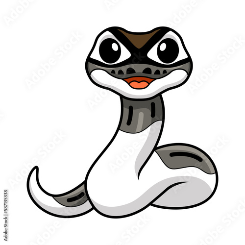 Cute axanthic pied ball python cartoon