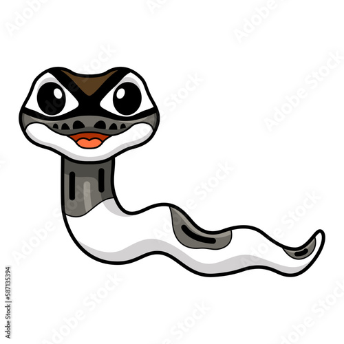 Cute axanthic pied ball python cartoon