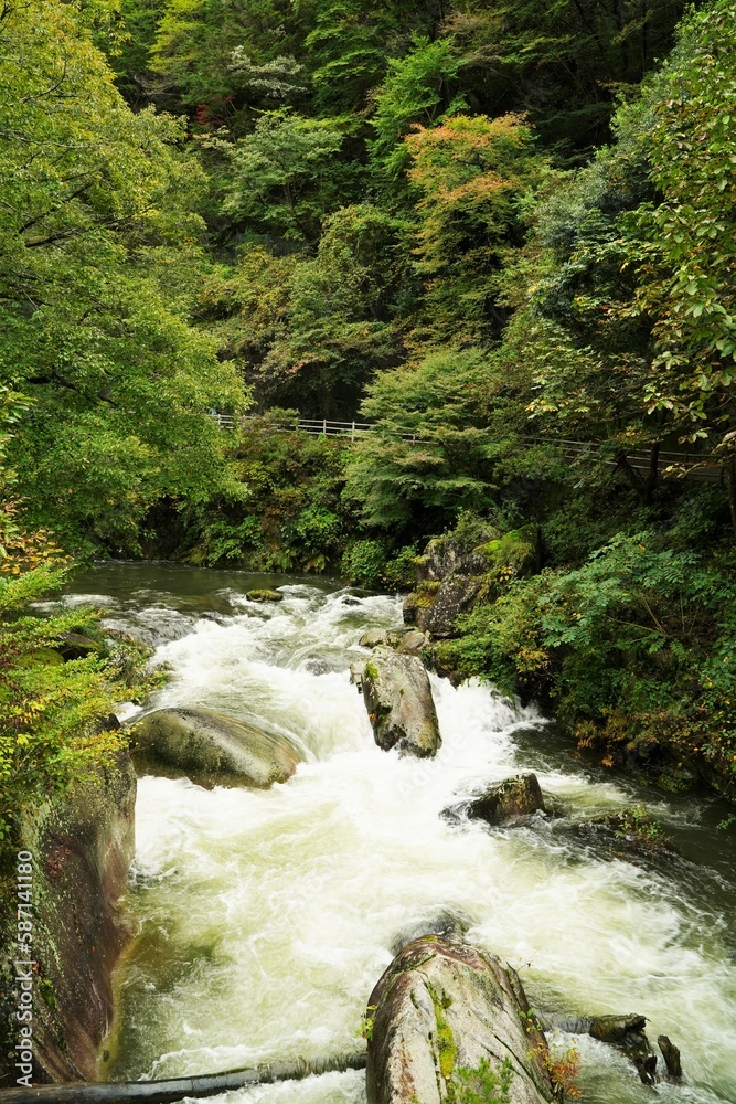 Obraz premium 昇仙峡、神奈川県、日本、景色、渓谷、岩、川、水、空、自然、流れ、橋、電話ボックス、バス停、古い電話、木、急流、秋、緑、つり橋、看板、標識、ダム、観光、ツアー、バスツアー、