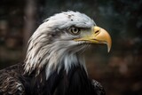 Close up of a bald eagle. Generative AI