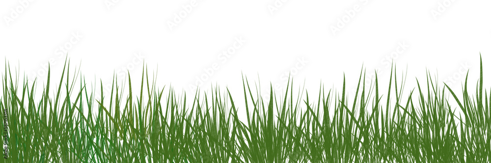 digitally rendered green grass isolated on white. digitally rendered green grass isolated on white.