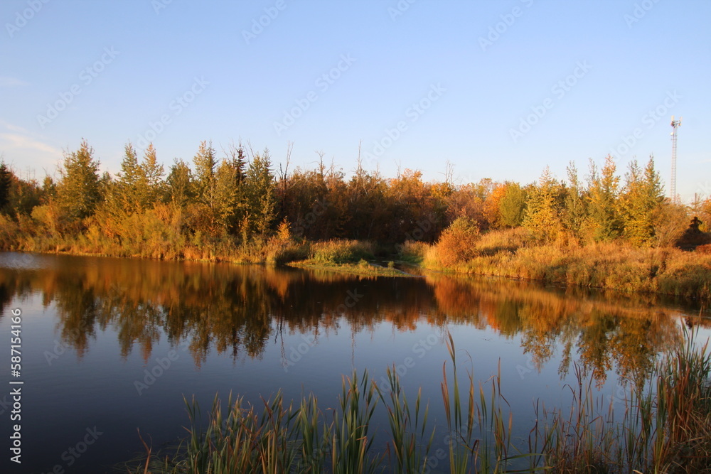 autumn trees reflected in water autumn trees reflected in water
