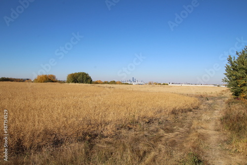 path in the field with sky  Pylypow Wetlands  Edmonton  Alberta