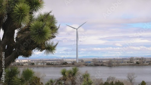 windmill on a blue sky day on lake palmdale in california with a joshua tree in the foreground photo