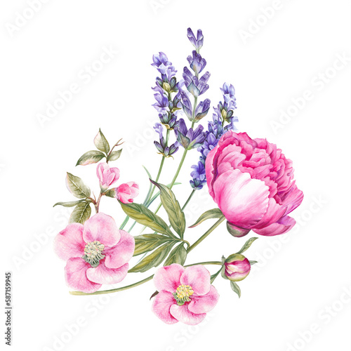 Pink watercolor roses bouquet. Bunch of flowers on a white background