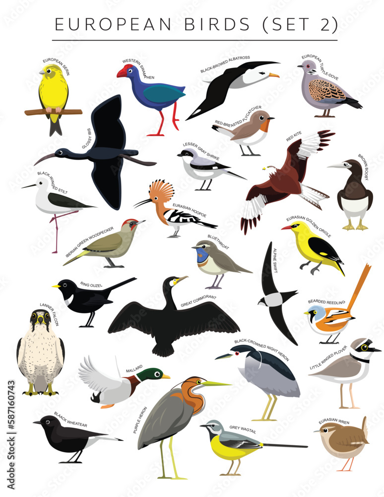 European Birds Set Cartoon Vector Character 2