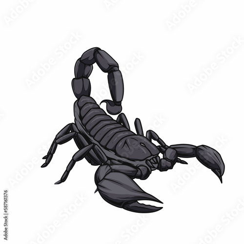 scorpion isolated on white background