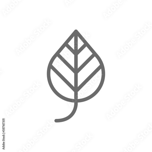 Leaf Eco friendly icon with black outline style. plant  organic  natural  green  nature  environment  tree. Vector illustration