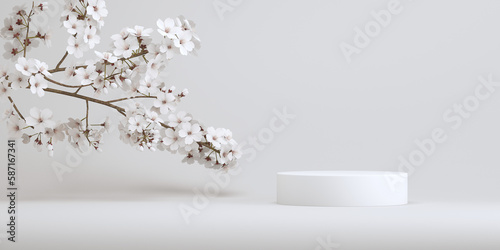 3d podium white cherry blossom background. 3d japanese background for product presentation. 3d rendering illustration.
