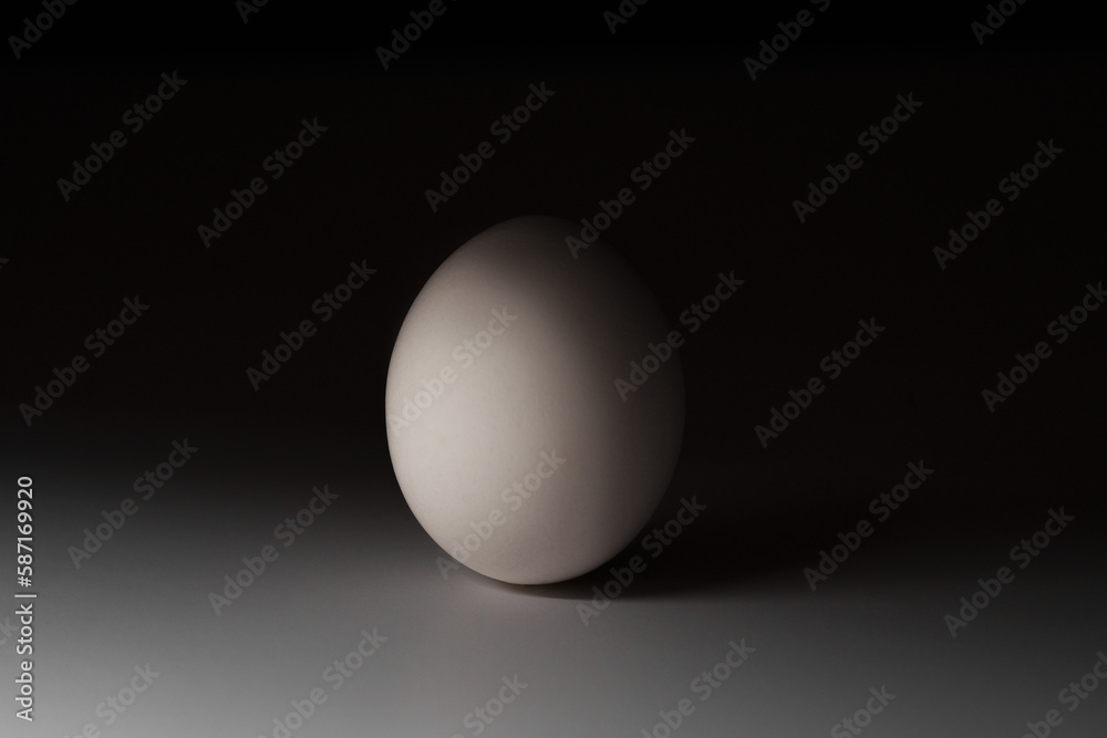 chicken egg close-up, the play of light and shadow chicken egg close-up, the play of light and shadow