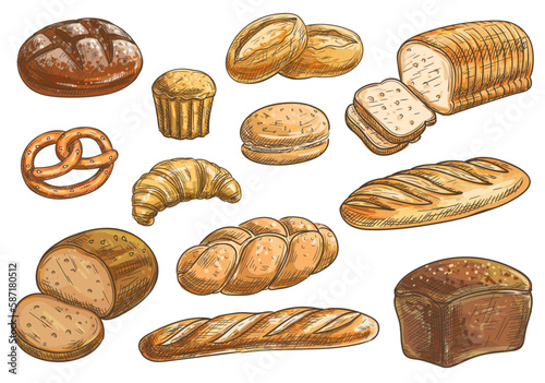 Bread sorts and bakery icons. Vector pencil sketch rye bread, ciabatta, wheat bread, muffin, bun, bagel, sliced bread, french baguette, croissant pretzel biscuit