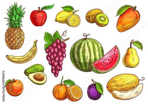 Fruits set. Sketch isolated vector tropical and exotic fruits. Color drawings of pineapple, banana, apple, avocado, peach, red grape, lemon, orange, watermelon, kiwi, plum, mango pear melon