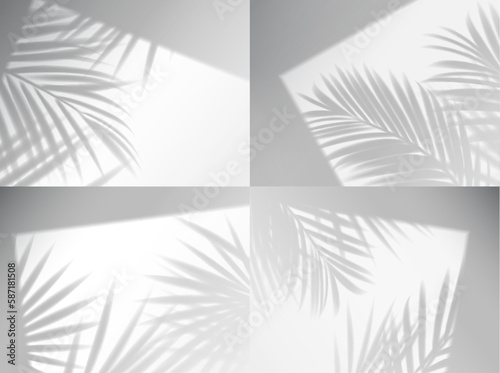 Palm leaves shadow overlay. Vector window frames with plant branches on wall, realistic light blinds. shade effect on white background. Soft sunlight fall on room floor, tropical mockup © Vector Tradition
