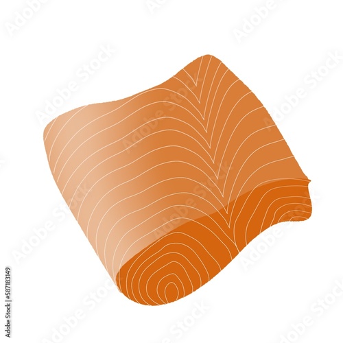 Salmon illustration