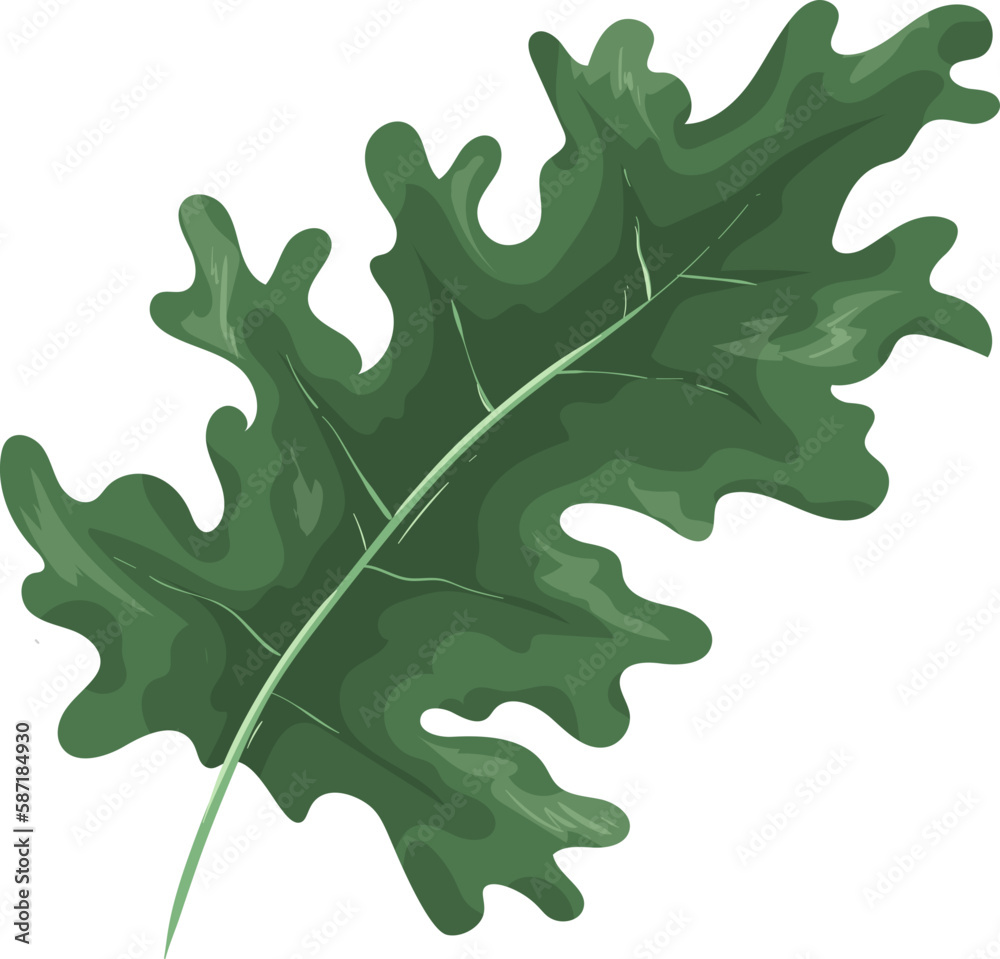Fototapeta premium Leaf Illustration Element