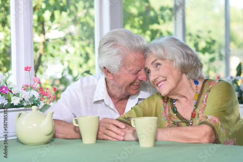 Beautiful elderly couple sitting at the table at the country house