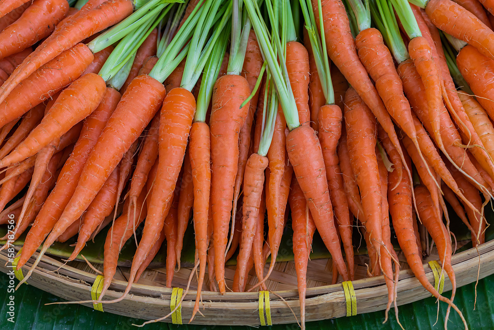 Freshly carrots in organic vegetable garden. Freshly carrots in organic vegetable garden.