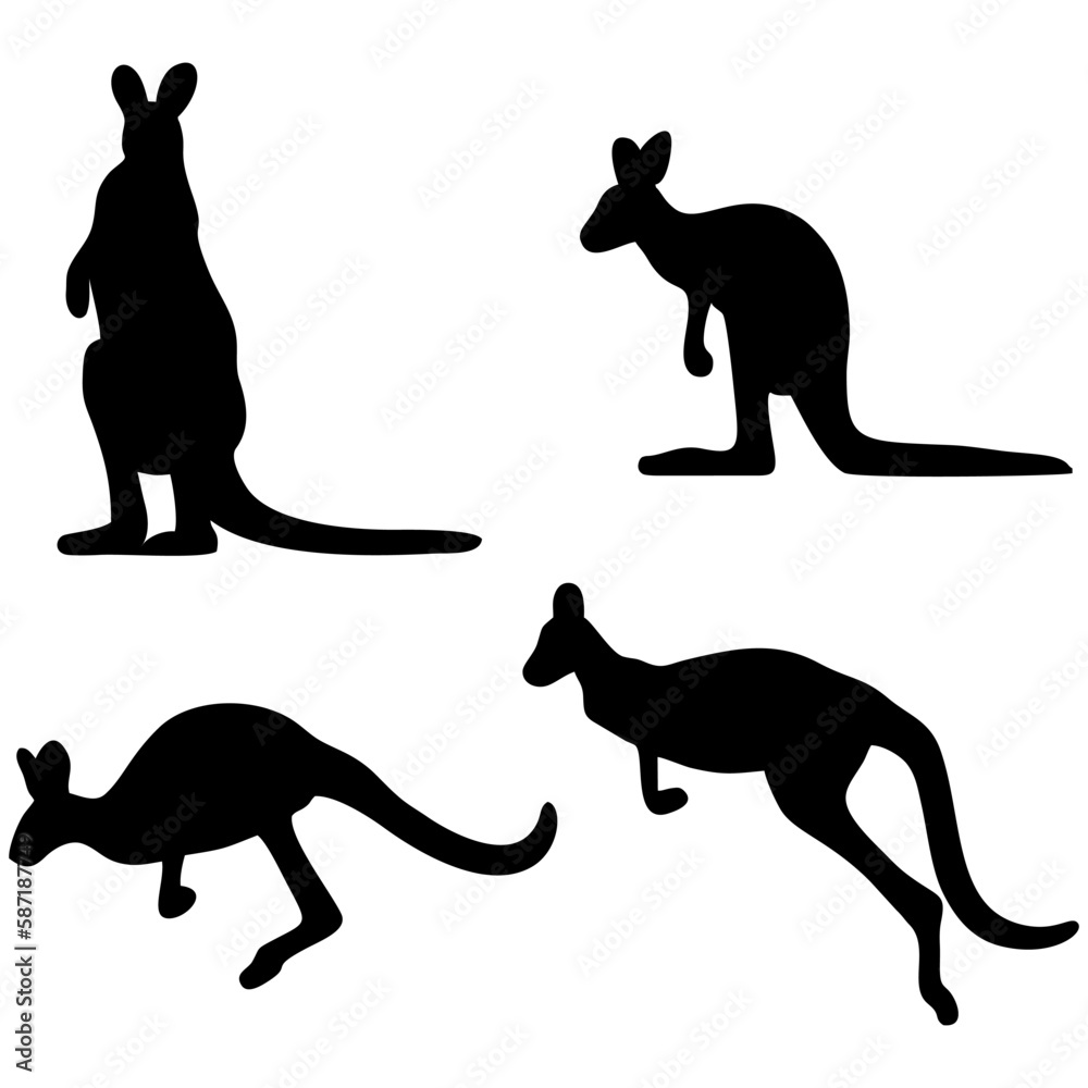 kangaroo silhouette illustration