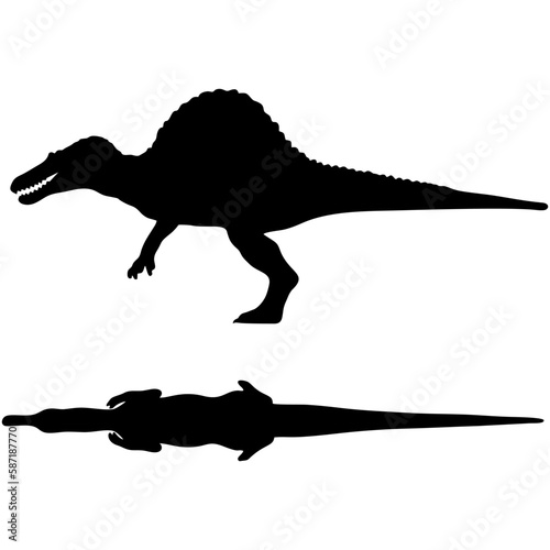 Spinosaurus silhouette © My line