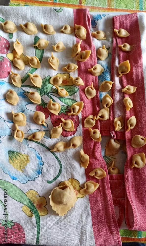 Home hand made Italian tortellini with colourful background