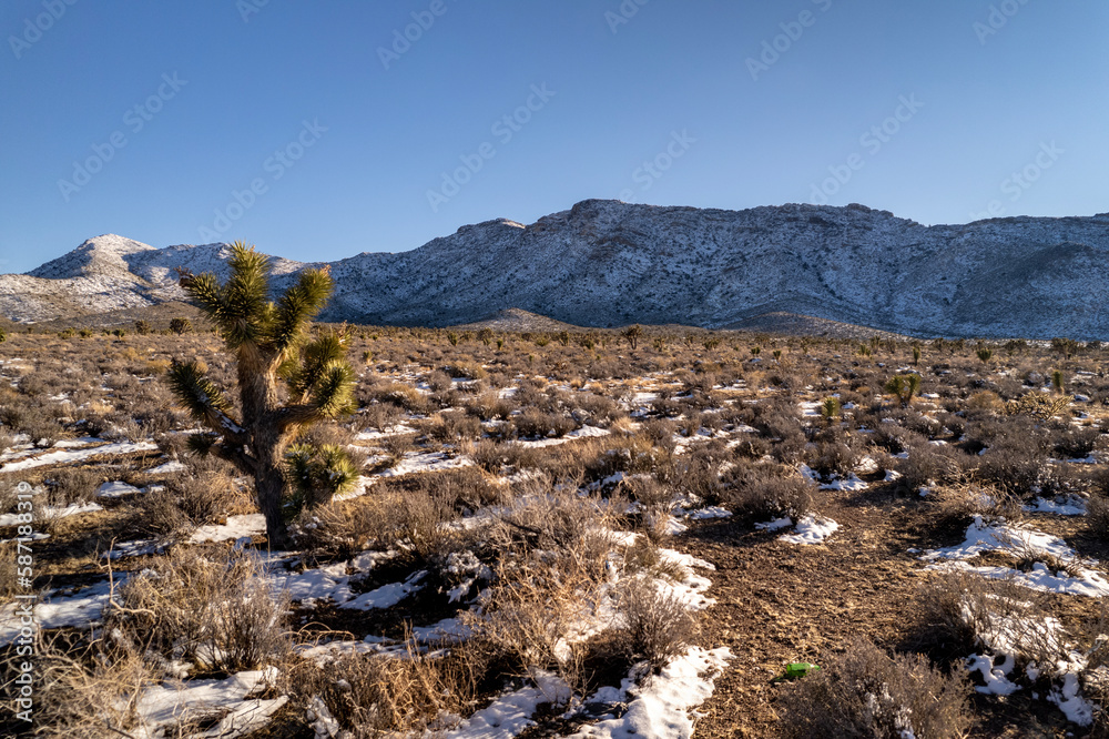 Snow in Mountains of California. Aerial view on cactus with snow during last winter days. Snow in Mountains of California. Aerial view on cactus with snow during last winter days.