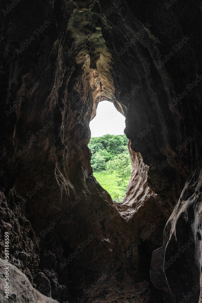 Natural window in a cave facing a grove
