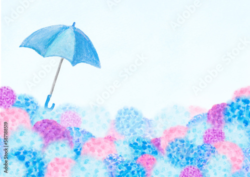 紫陽花と雨傘、梅雨をイメージした背景イラスト