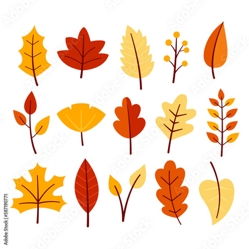 Autumn leaves element vector illustration set