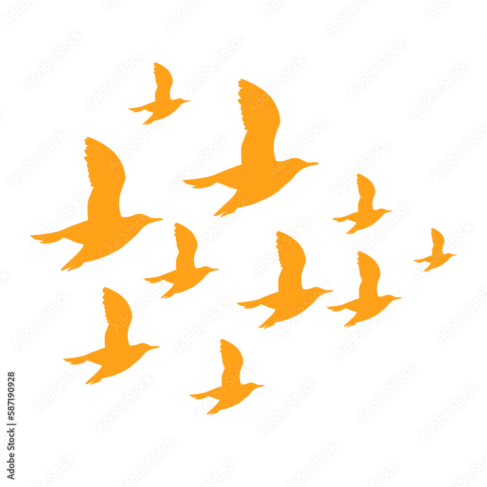 Obraz premium bird fly silhouette