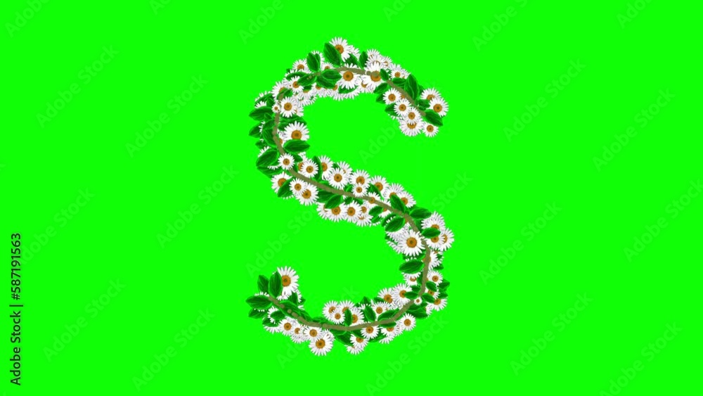 English alphabet S with daisy flowers on green screen background English alphabet S with daisy flowers on green screen background